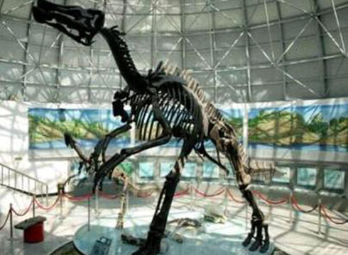 山东诸城恐龙博物馆详细图