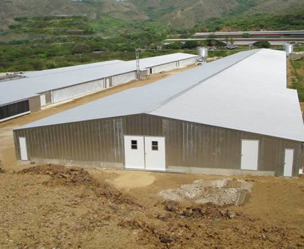 Portal Steel Structure Breeding Shed