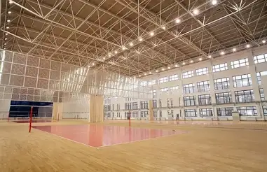Introduction of steel structure space frame badminton court roof