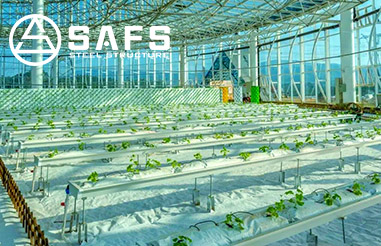 In which industries is steel structure applied?